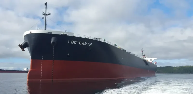 LBC EARTH Bulk Carrier IMO 9644548 photo 8