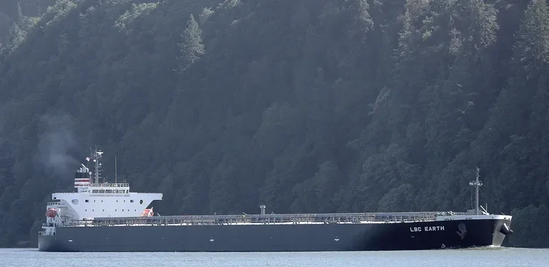 LBC EARTH Bulk Carrier IMO 9644548 photo 10