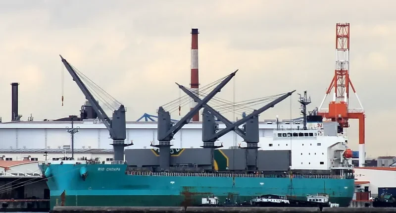 RIO CHOAPA Bulk Carrier IMO 9644550