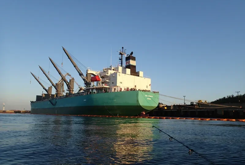 RIO CHOAPA Bulk Carrier IMO 9644550 photo 2