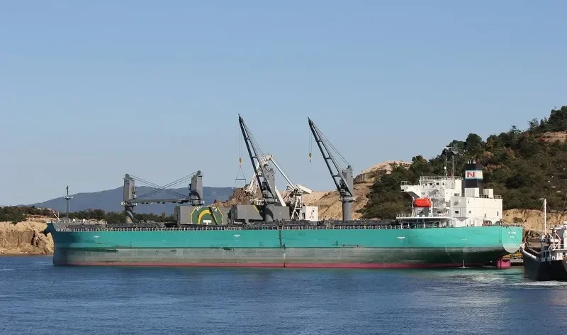 RIO CHOAPA Bulk Carrier IMO 9644550 photo 4