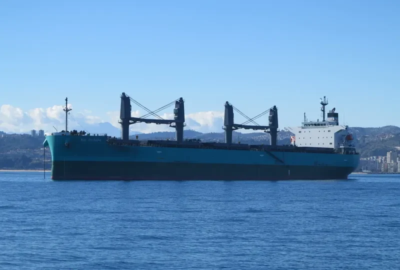 RIO CHOAPA Bulk Carrier IMO 9644550 photo 5