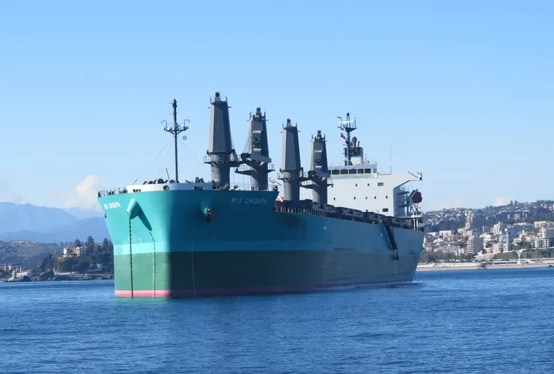 RIO CHOAPA Bulk Carrier IMO 9644550 photo 6