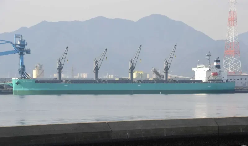 RIO CHOAPA Bulk Carrier IMO 9644550 photo 7