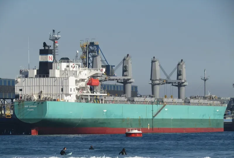 RIO CHOAPA Bulk Carrier IMO 9644550 photo 8