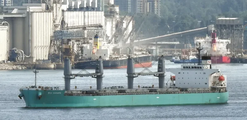 RIO CHOAPA Bulk Carrier IMO 9644550 photo 9