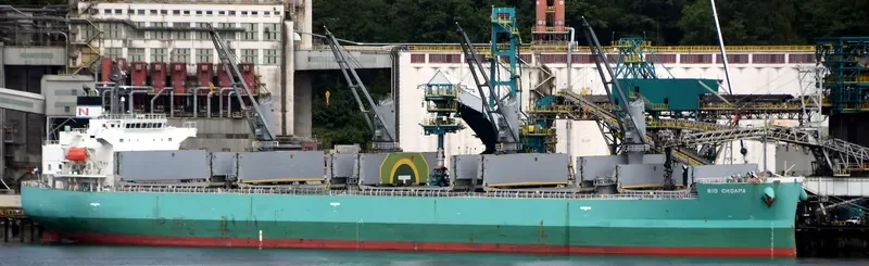 RIO CHOAPA Bulk Carrier IMO 9644550 photo 10
