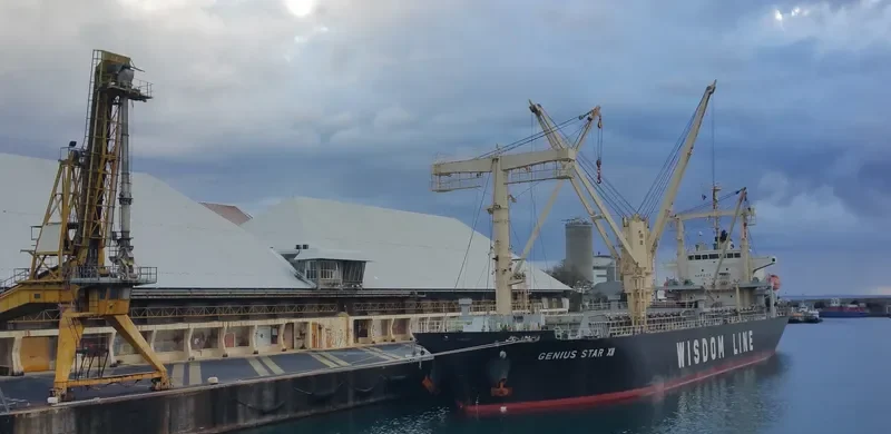 GENIUS STAR XII General Cargo IMO 9644744