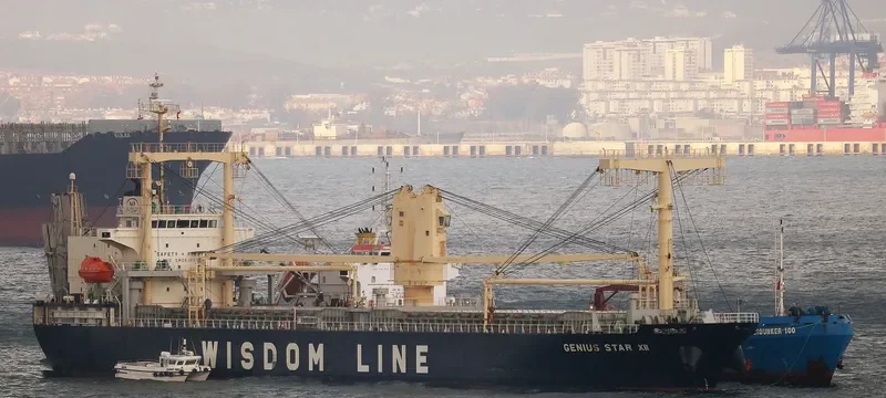 GENIUS STAR XII General Cargo IMO 9644744 photo 2