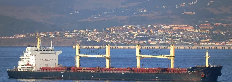 SPINEL Bulk Carrier IMO 9644823 photo 2