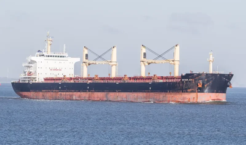 SPINEL Bulk Carrier IMO 9644823 photo 3