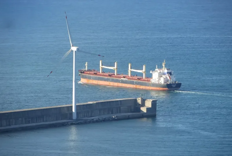 SPINEL Bulk Carrier IMO 9644823 photo 4