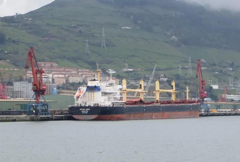 SPINEL Bulk Carrier IMO 9644823 photo 5