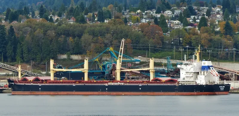 SPINEL Bulk Carrier IMO 9644823 photo 6