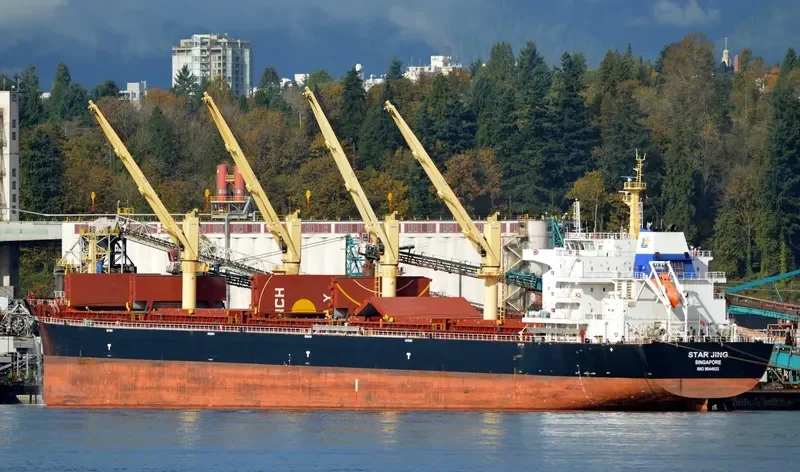 SPINEL Bulk Carrier IMO 9644823 photo 7