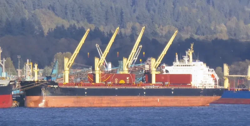 SPINEL Bulk Carrier IMO 9644823 photo 8