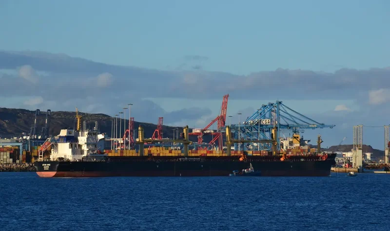 SPINEL Bulk Carrier IMO 9644823 photo 9