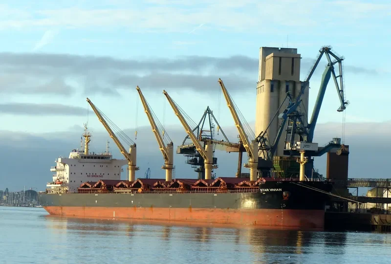 NEWSEAS CRYSTAL Bulk Carrier IMO 9644835 photo 7