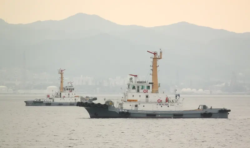 SUO MARU General Cargo IMO 9644859 photo 2