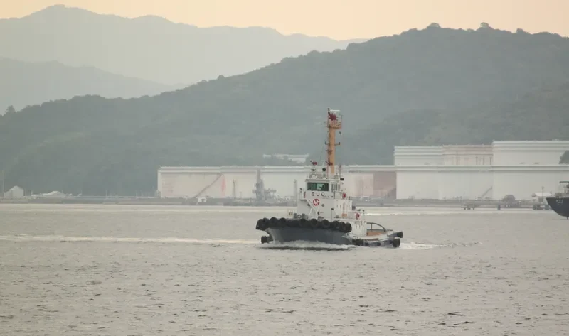 SUO MARU General Cargo IMO 9644859 photo 3