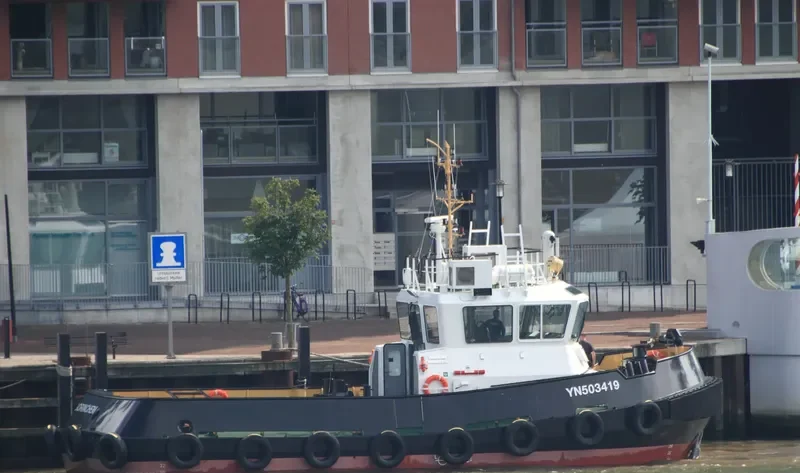 SEA FLOWER General Cargo IMO 9645231