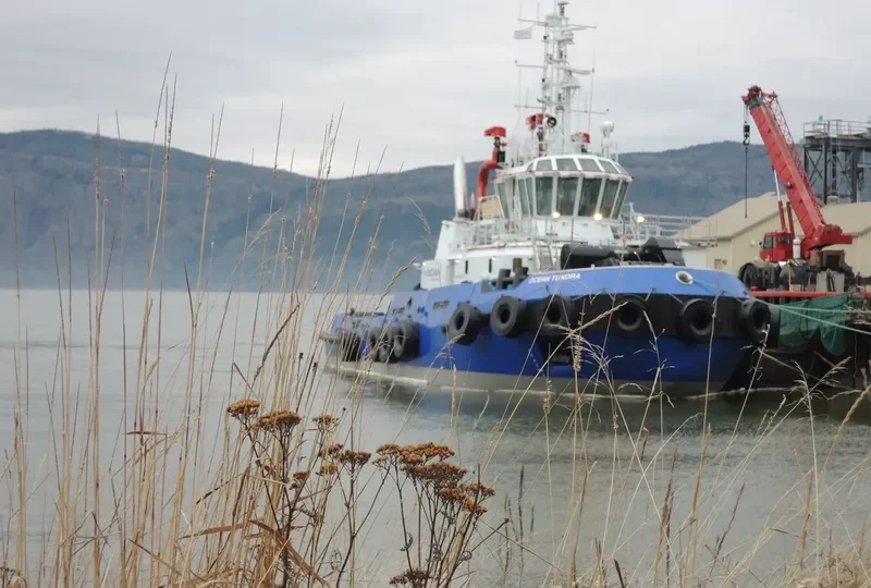 OCEAN TUNDRA General Cargo IMO 9645504 photo 6