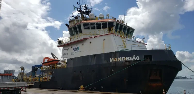 MANDRIAO Offshore Vessel IMO 9645542 photo 6