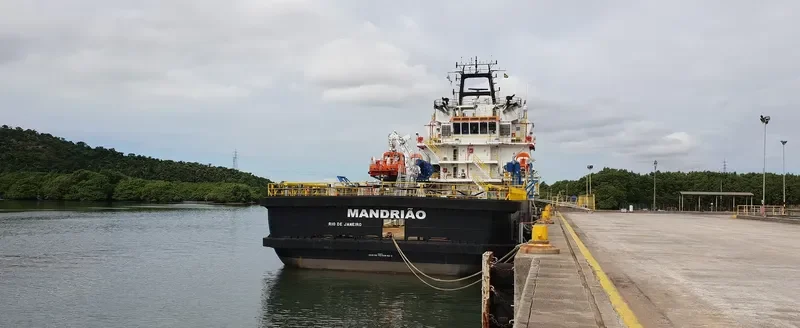 MANDRIAO Offshore Vessel IMO 9645542 photo 7