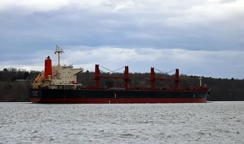 PRT HOPE Bulk Carrier IMO 9645566