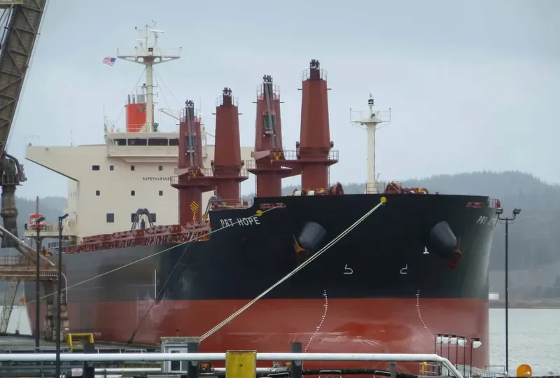PRT HOPE Bulk Carrier IMO 9645566 photo 5