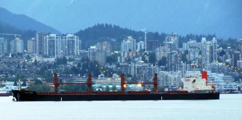 PRT HOPE Bulk Carrier IMO 9645566 photo 6