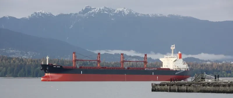 PRT HOPE Bulk Carrier IMO 9645566 photo 9