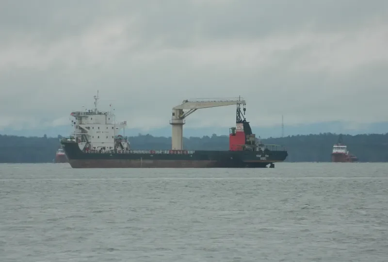 PEKAN RIAU Container Ship IMO 9645750
