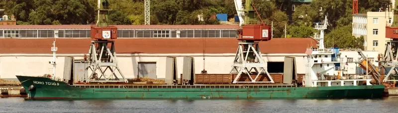 HONG TONG 9 Bulk Carrier IMO 9646027 photo 4