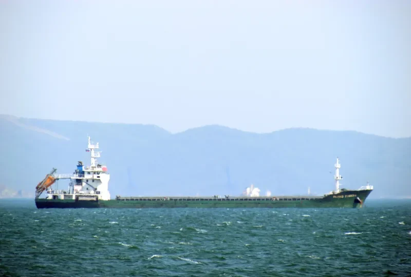 HONG TONG 9 Bulk Carrier IMO 9646027 photo 8