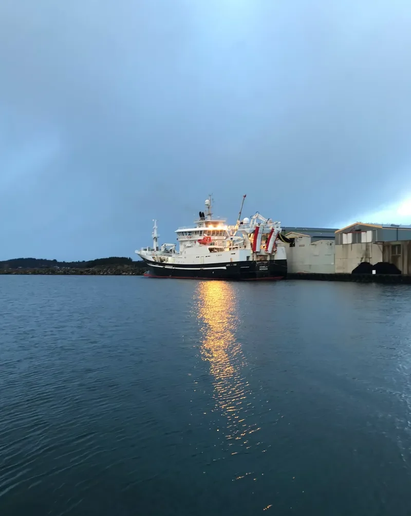 VENDLA General Cargo IMO 9646091 photo 2