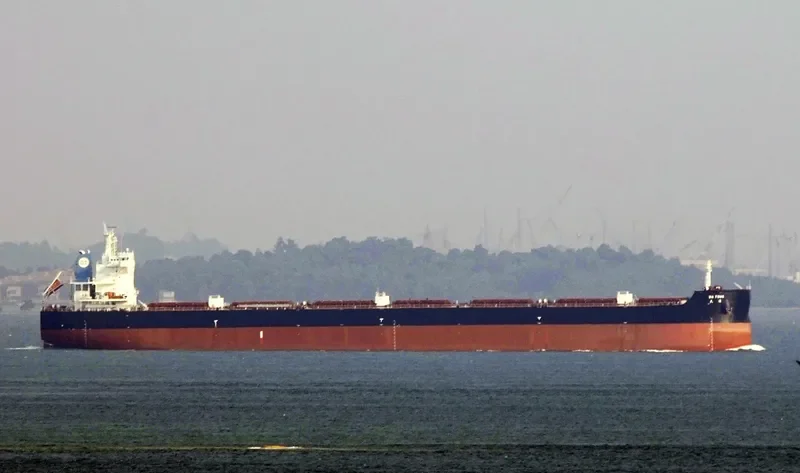 DA TONG Bulk Carrier IMO 9646194