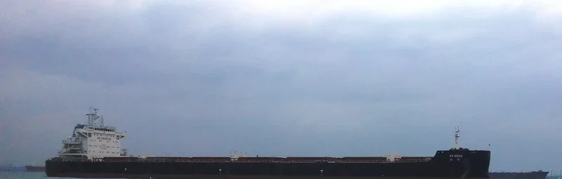 YU HONG Bulk Carrier IMO 9646209