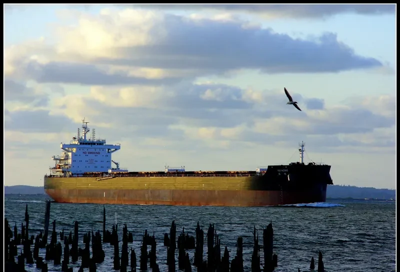 YU HONG Bulk Carrier IMO 9646209 photo 2
