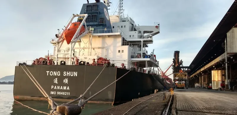TONG SHUN Bulk Carrier IMO 9646211