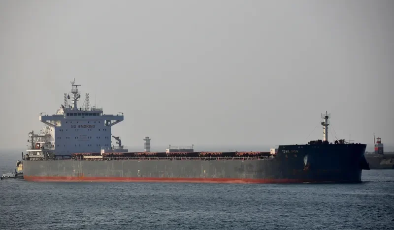 TONG SHUN Bulk Carrier IMO 9646211 photo 4