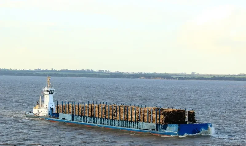 PUNTA PEREIRA General Cargo IMO 9646223 photo 2