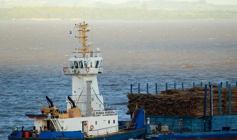 PUNTA PEREIRA General Cargo IMO 9646223 photo 3