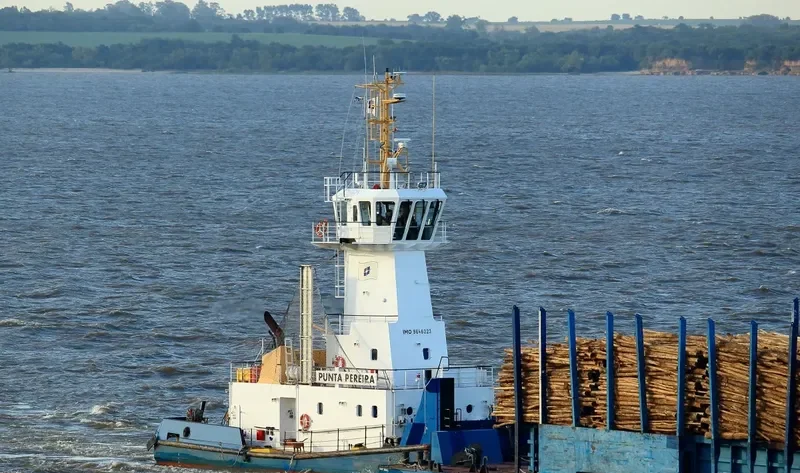 PUNTA PEREIRA General Cargo IMO 9646223 photo 5