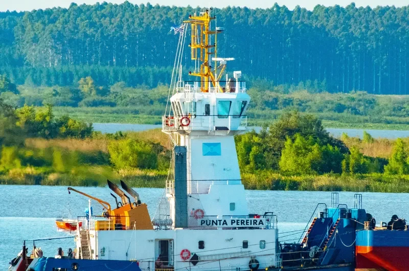 PUNTA PEREIRA General Cargo IMO 9646223 photo 8
