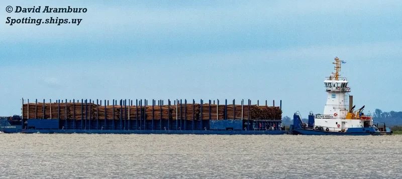 PUNTA PEREIRA General Cargo IMO 9646223 photo 10