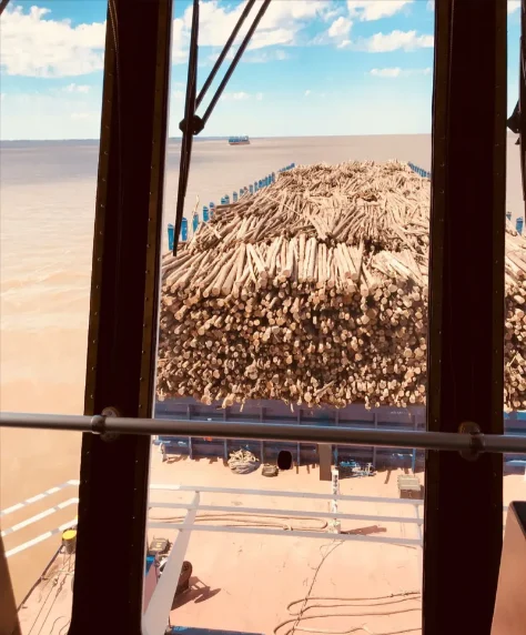 PUNTA DIAMANTE General Cargo IMO 9646235
