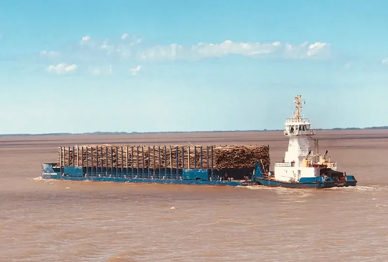 PUNTA DIAMANTE General Cargo IMO 9646235 photo 2