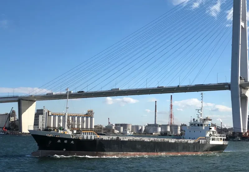 SENEI MARU General Cargo IMO 9646261 photo 4