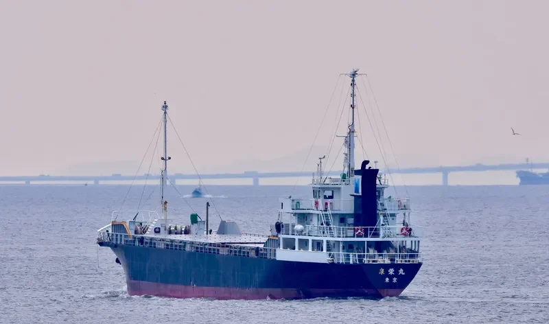 SENEI MARU General Cargo IMO 9646261 photo 8